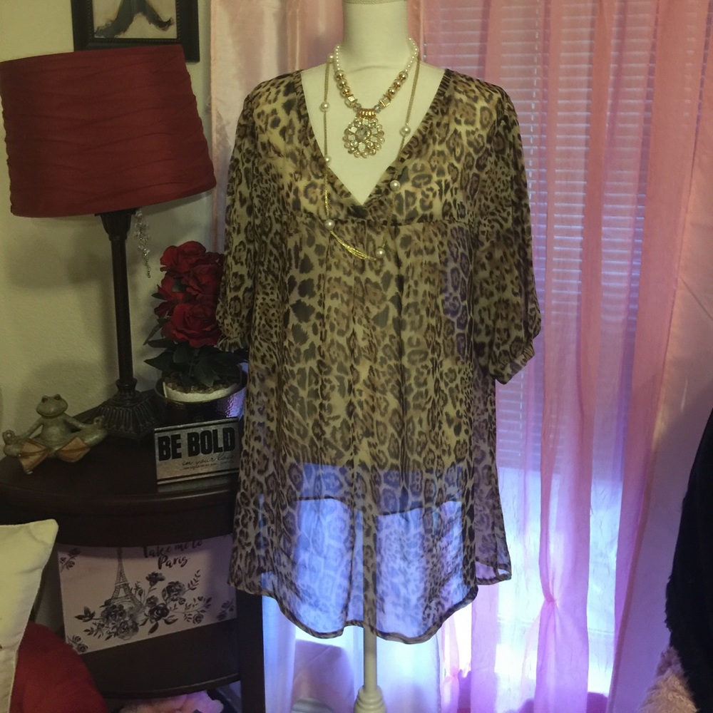 Lane Bryant Blouse (14/16)